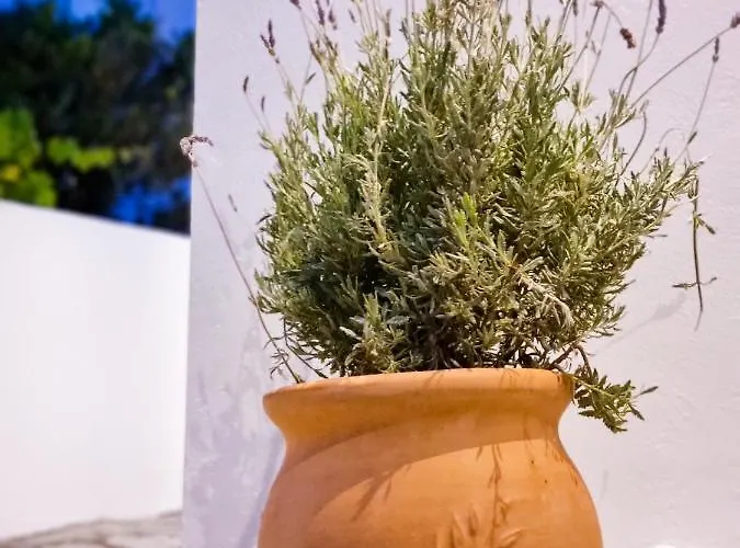 Βίλα Seaera Luxury *